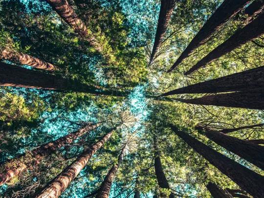 Política Integrada da Qualidade e Ambiente