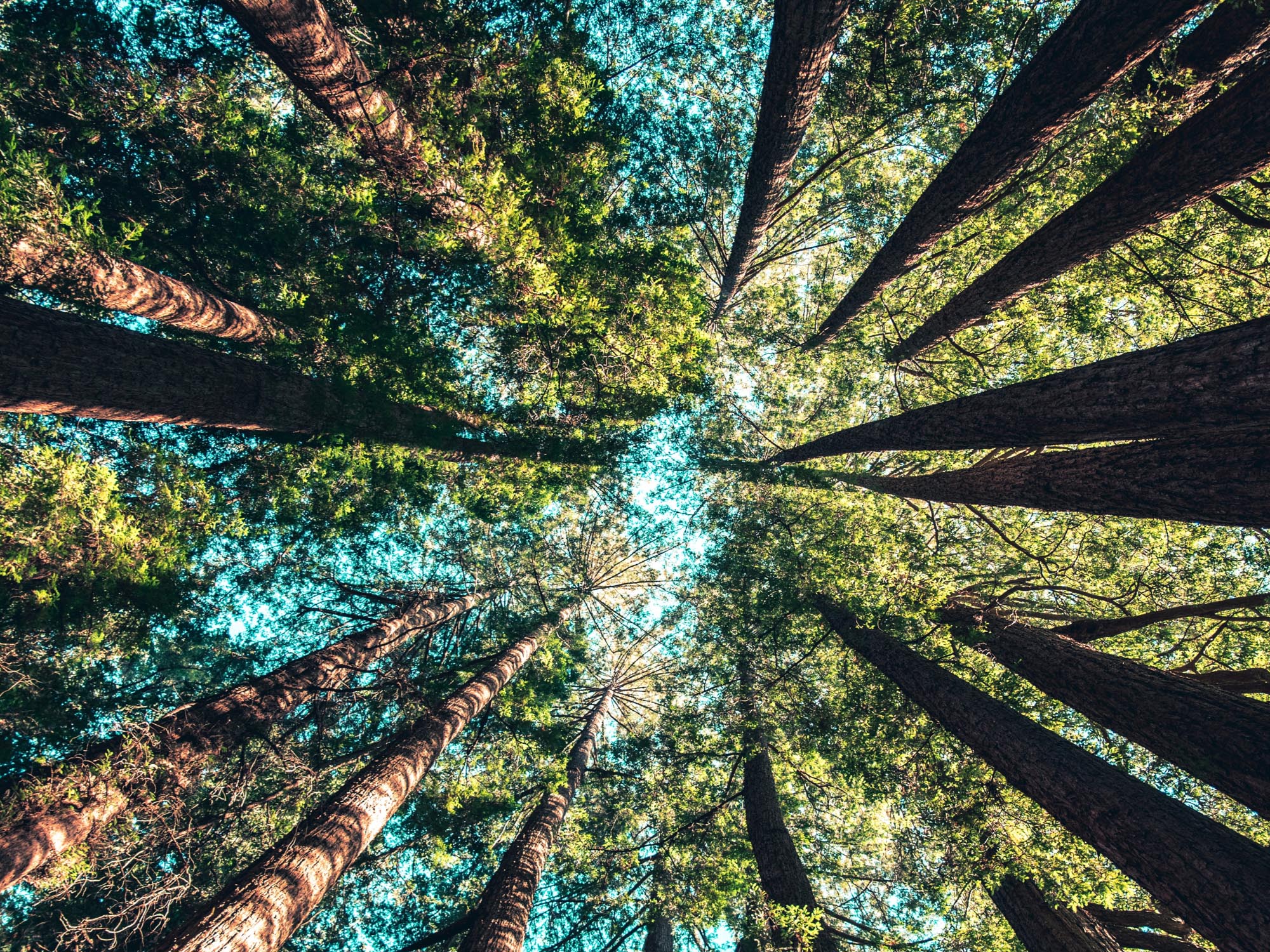 Política Integrada da Qualidade e Ambiente