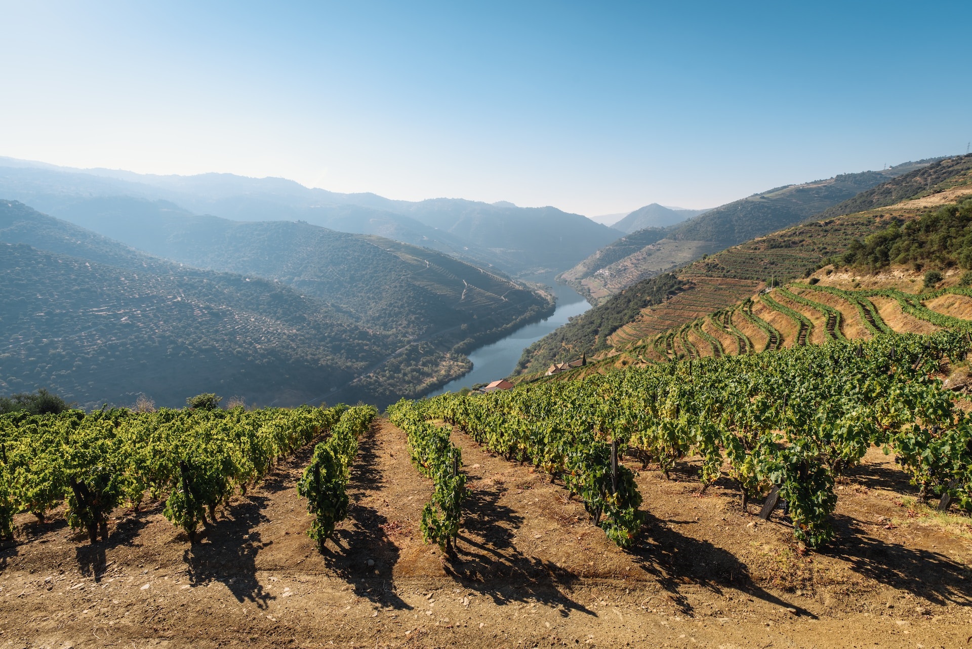 Douro Circuit