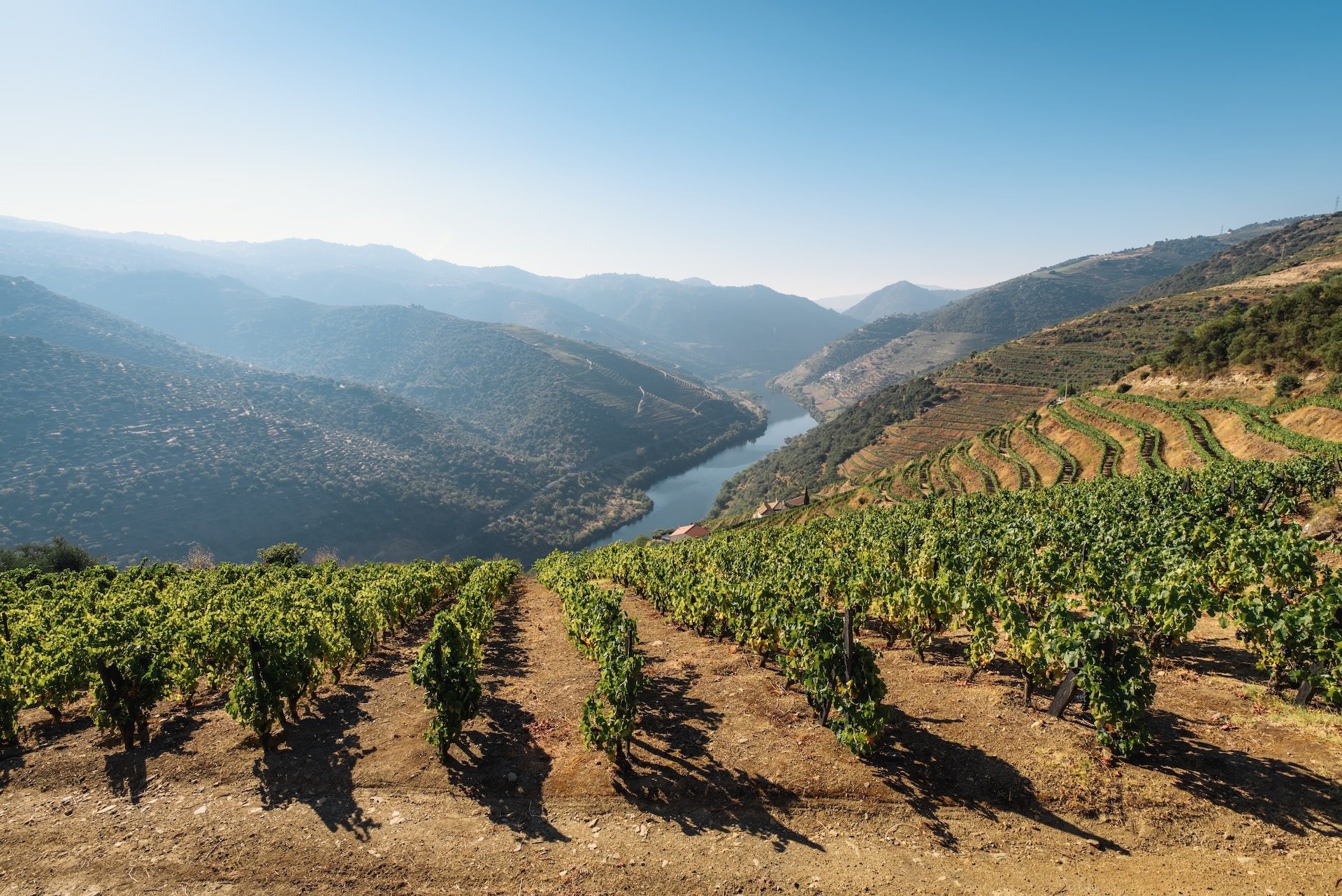 Douro Circuit
